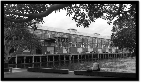 conscience_mockingbird2