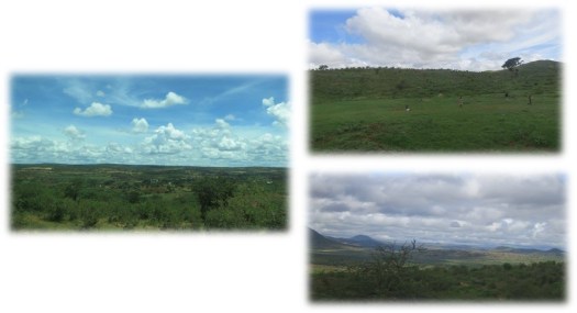 crista_kenya_day3_pic10