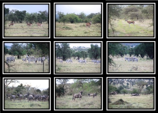 crista_kenya_day4_pic8