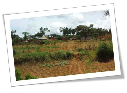 crista_kenya_day5_pic10