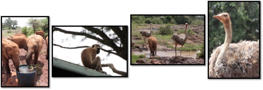 crista_kenya_day8-9_pic2