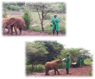 crista_kenya_day8-9_pic3